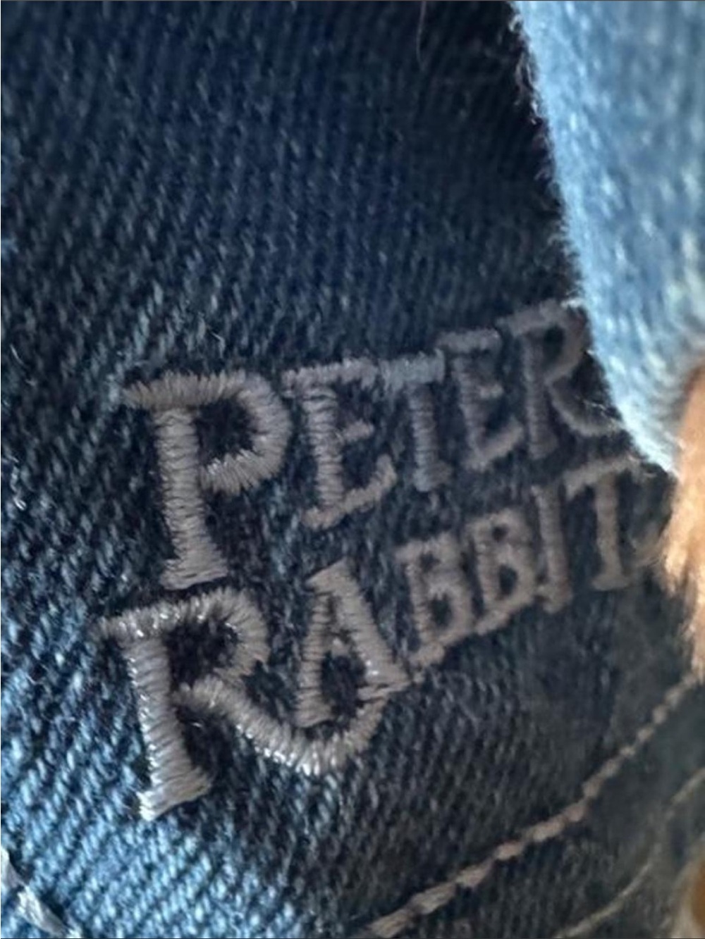 Build-A-Bear Peter Rabbit Plush - Picture 3 of 6